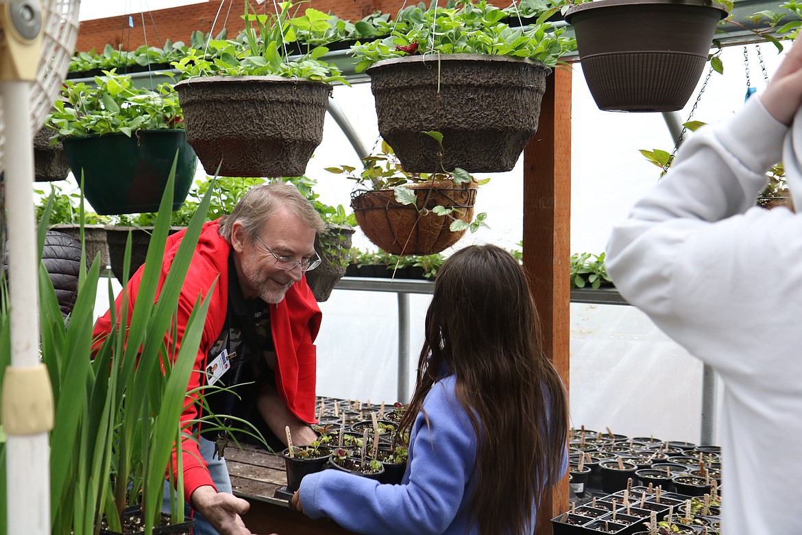 Vern Harvey, an art teacher at Hayden Meadows Elementary School, takes a tray of plants from a student to set on the shelf of the school greenhouse on Friday. Harvey started the school greenhouse which has been adding to the school's learning environment for the last 15 years. HANNAH NEFF/Press