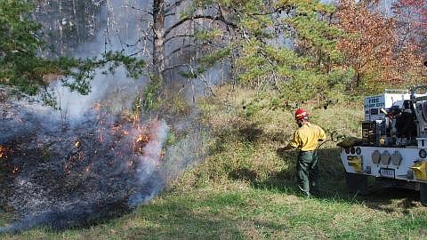 The U.S. Forest Service is hoping that investments in fire prevention strategies will help manage the impacts of forest fires on people and wildlife.