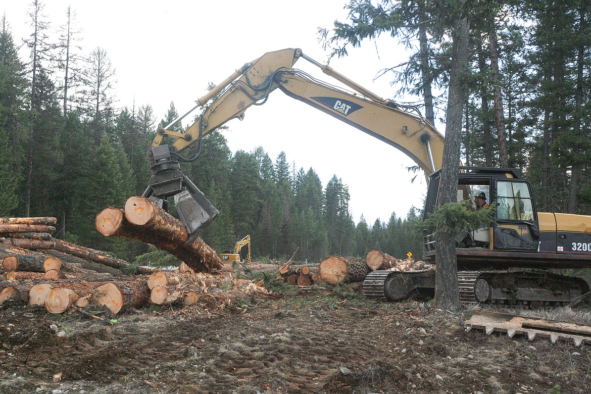 Noble Excavating is seen stacking freshly felled timber along a stretch of Pipe Creek Road in early April. Zach Schad, a company superintendent, said the project includes flattening and widening the roadway's shoulders, removing trees as necessary. Additional shoulder work is set to start next week along Pipe Creek, according to the Montana Department of Transportation. (Paul Sievers/The Western News)
