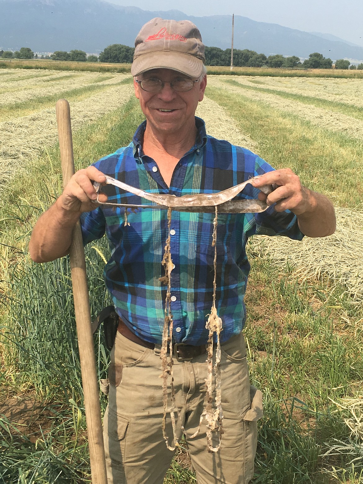 Alan Klages of Wallowa County, Oregon, shows a pair of underwear that was planted on April 1, 2018, and harvested 122 days later. Master gardeners say the more deteriorated a pair of "tighty whities" are after 90 days or so, the healthier the soil they were buried in.