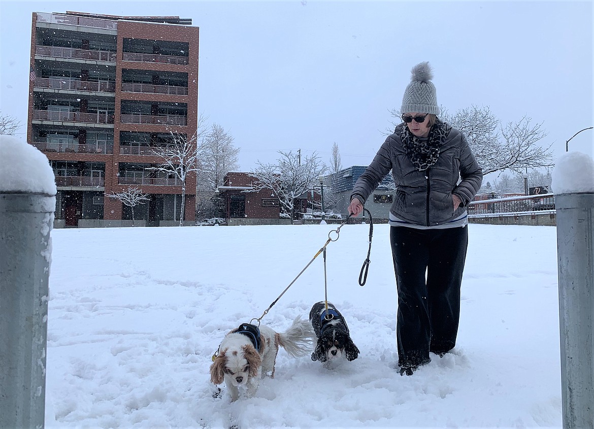 Kay Mills of Coeur d'Alene walks her dogs, Rebel and Hooter, in the snow Friday morning.