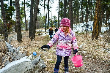 Emma Bauer picks up an egg during an Easter egg hunt at Lone Pine State Park in Kalispell on Saturday, April 16. (Casey Kreider/Daily Inter Lake)
