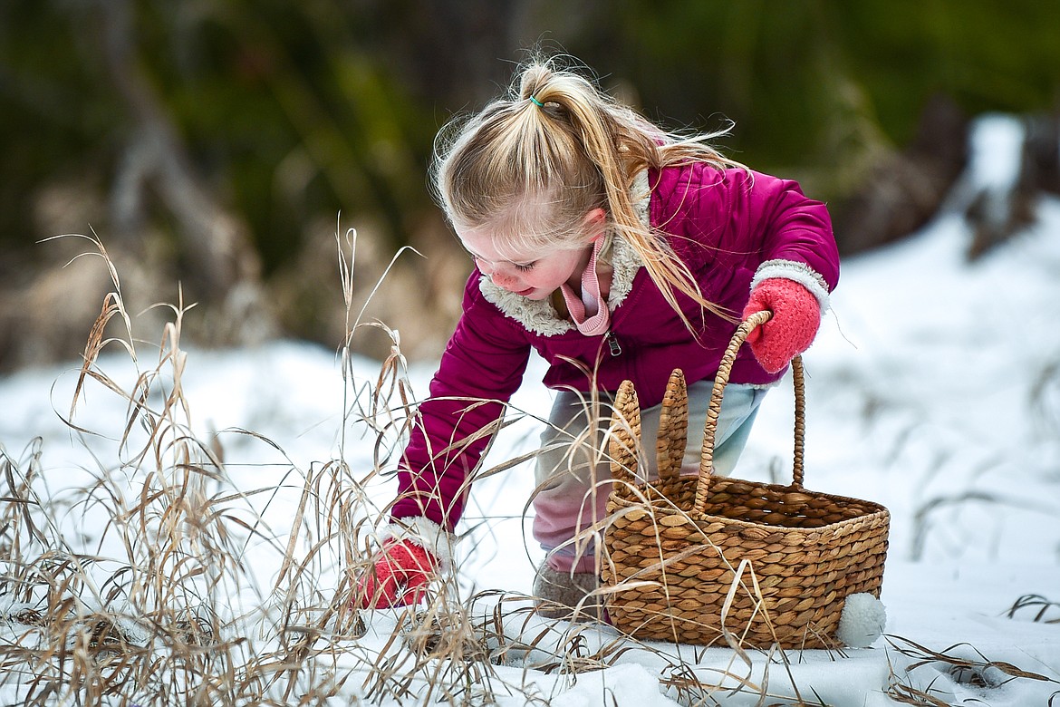 A young girl picks up an egg during an Easter egg hunt at Lone Pine State Park in Kalispell on Saturday, April 16. (Casey Kreider/Daily Inter Lake)