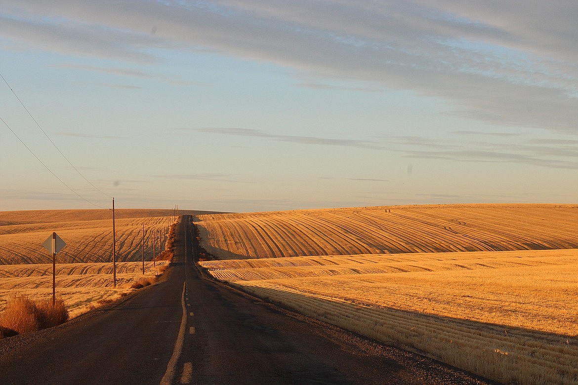 Dry stubble dominates an agricultural landscape in Adams County in 2021. Drought conditions are a concern across the state as farmers work to meet the demands of the wheat market.