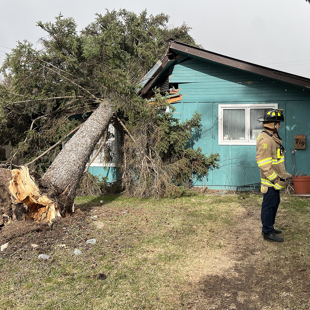 Tree falls on Whitefish home causing significant damage | Whitefish Pilot