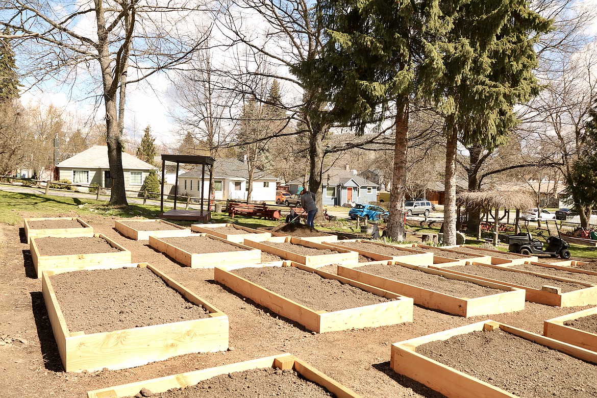 Volunteers are needed on Sunday to help with spring cleaning at Shared Harvest Community Garden, a nonprofit garden in Coeur d'Alene. HANNAH NEFF/Press