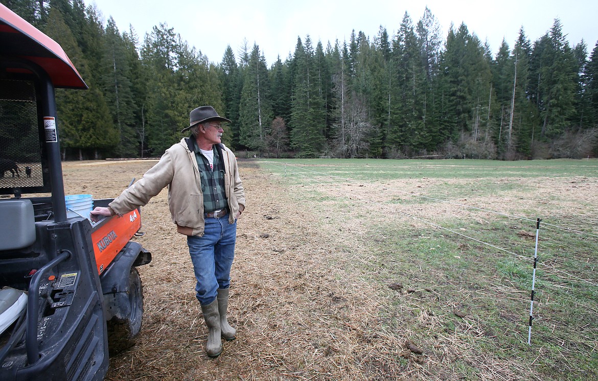 Lazy JM Ranch owner John Mobbs surveys the 150-acre Hauser ranch while out feeding cattle Thursday. The land is worked using regenerative agriculture methods.