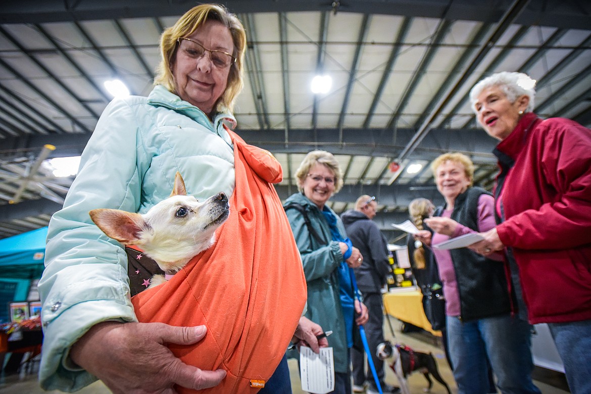 Judene Ness carries her Chihuahua/whippet mix named Lucy around the Flathead Kennel Club Canine Expo at the Flathead County Fairgrounds Trade Center on Saturday, April 23. (Casey Kreider/Daily Inter Lake)