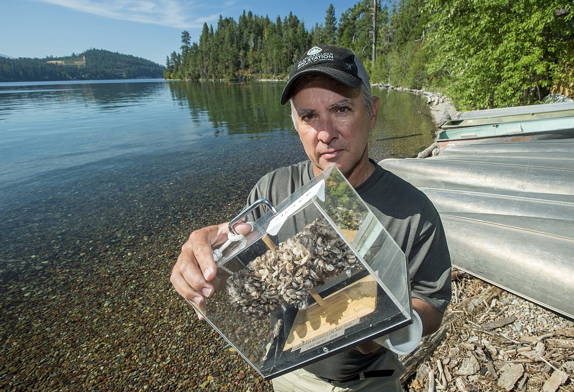 UM’s Jim Elser, shown holding a display of a pipe coated with invasive mussels, is one of only two Montanans ever elected to the prestigious National Academy of Sciences. Elser directs the Flathead Lake Biological Station, which works to defend Montana waterways against invasive species.