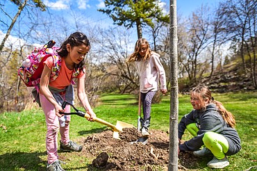 Third-grade students from Rankin Elementary shovel dirt as an American Sentry Linden tree is planted at the Arbor Day celebration at Woodland Park in Kalispell on Friday, April 29. (Casey Kreider/Daily Inter Lake)