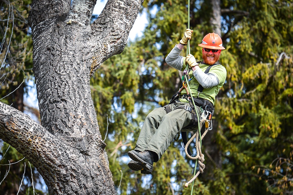 Rylan Smith, a journeyman tree trimmer with Flathead Electric Cooperative, swings from a tree during a climbing demonstration at the Arbor Day celebration at Woodland Park in Kalispell on Friday, April 29. (Casey Kreider/Daily Inter Lake)