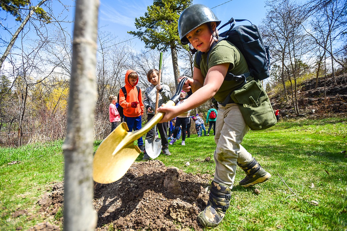 Third-grade students from Rankin Elementary shovel dirt as an American Sentry Linden tree is planted at the Arbor Day celebration at Woodland Park in Kalispell on Friday, April 29. (Casey Kreider/Daily Inter Lake)