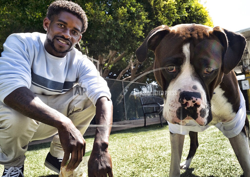 Ro Mantooth plays with his dog, Champ, at a dog park with the nonprofit People Assisting the Homeless, in the Venice section of Los Angeles on Tuesday, April 5, 2022. It was the first facility of its kind in Los Angeles County to allow homeless shelter residents to bring animal companions. "He's really my best friend. I don't know what I'd do without him," Mantooth, 29, said of Champ. "I'm lucky to have him. Not a lot of places are going to take animals, you know." (AP Photo/Richard Vogel)