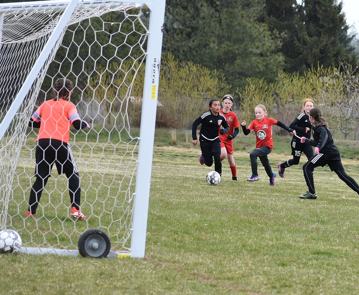 Photo by KARI HYNES
The Thorns 2011 Girls Green soccer team played Storm FC in Spokane on Saturday.  The Thorns won 9-0 with Olivia Hynes (pictured above, in red) scoring 3 goals, Kynleigh Rider and Sierra Jones each had two and Zoe Lemmon and Contance Ovendale each scored 1 goal. Gracie McVey, MacKenzie Dolan, Ava Langer and Olivia Hynes all had assists. Goalkeepers Gracie McVey and MacKenzie Dolan teamed for the shutout in goal. This upcoming week the Thorns North FC 11G Green team will compete in the annual Bill Eisenwinter Hot Shot Tournament in Coeur d'Alene.