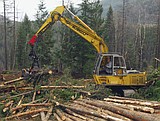 Forest plans roads, logging near Spotted Bear