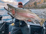 Annual walleye netting on Lake Pend Oreille complete