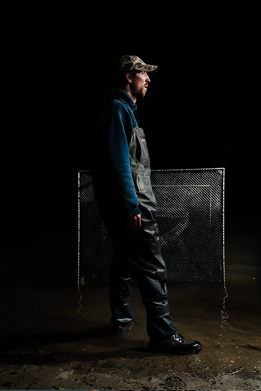 Fisheries technician Chad Gabreski stands in the Kootenai River near a mesh container full of fish. When Dunnigan is ready, Gabreski will use a net to lift fish out of the container to be measured. (Photo courtesy Sarah Mosquera)
