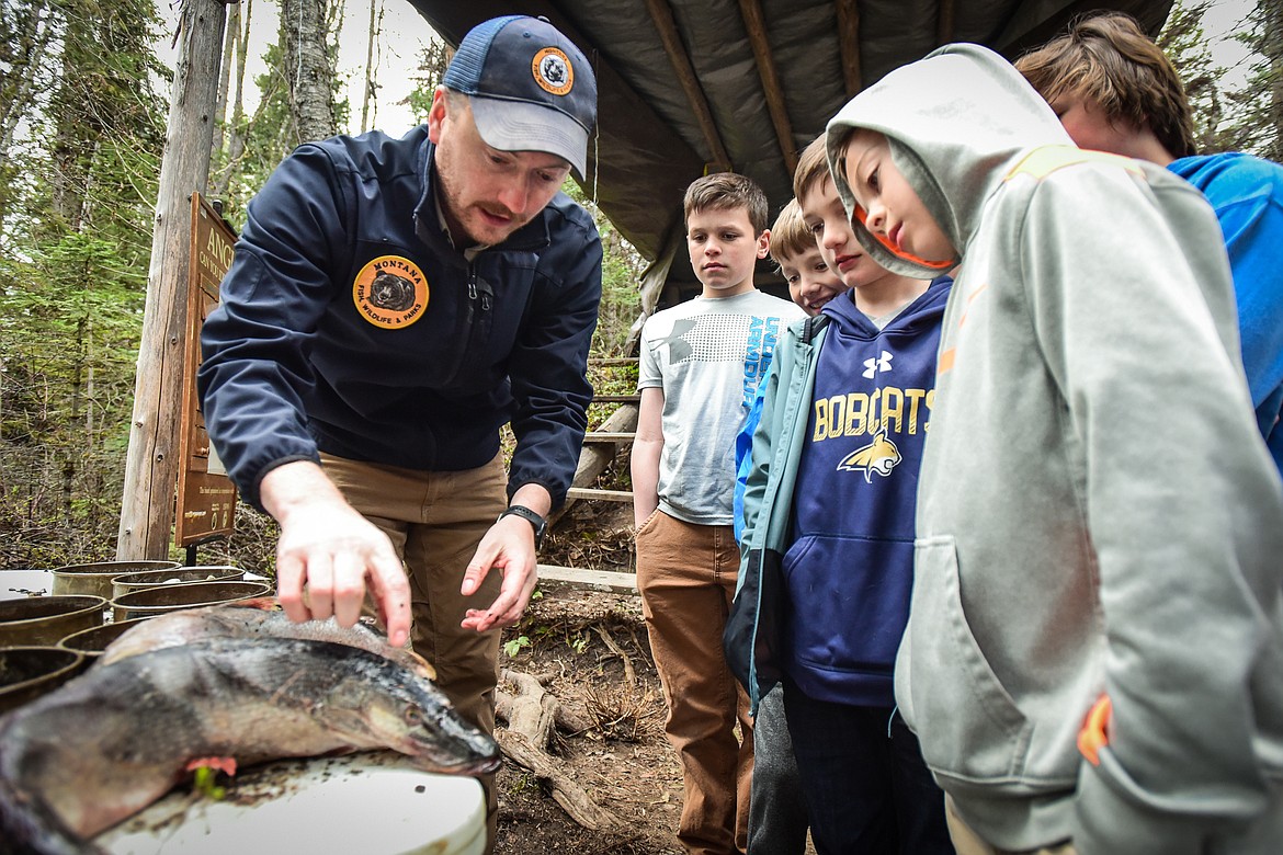 Dillon Tabish, Regional Communication and Education Program Manager with Montana Fish, Wildlife & Parks, shows a group of fifth-grade students from Trinity Lutheran School the teeth on a pike at the fisheries station of the Family Forestry Expo at Trumbull Creek Educational Forest in Columbia Falls on Friday, May 6. (Casey Kreider/Daily Inter Lake)