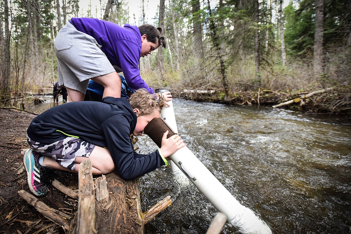 Fifth-grade students from Trinity Lutheran School in Kalispell inspect the bottom of Trumbull Creek with viewing tubes at the fisheries station of the Family Forestry Expo at Trumbull Creek Educational Forest in Columbia Falls on Friday, May 6. (Casey Kreider/Daily Inter Lake)