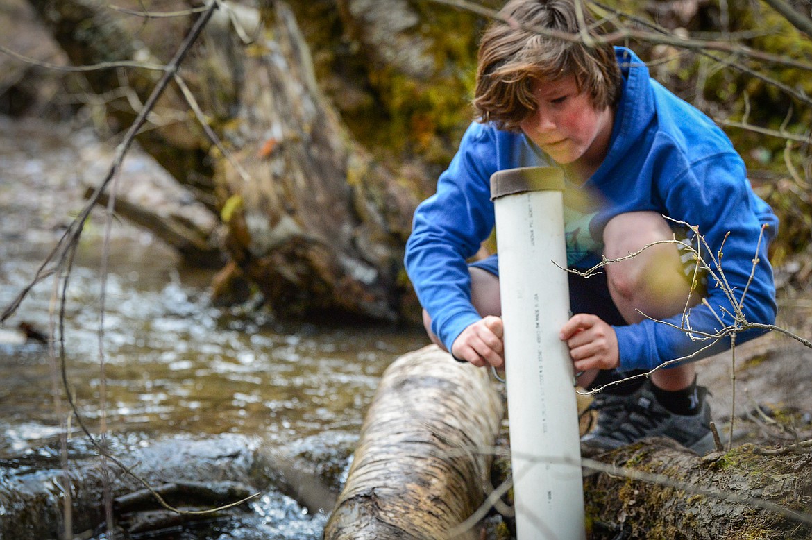 Jimmy Winchester, a fifth-grade student from Trinity Lutheran School, inspects the bottom of Trumbull Creek with a viewing tube at the fisheries station of the Family Forestry Expo at Trumbull Creek Educational Forest in Columbia Falls on Friday, May 6. (Casey Kreider/Daily Inter Lake)