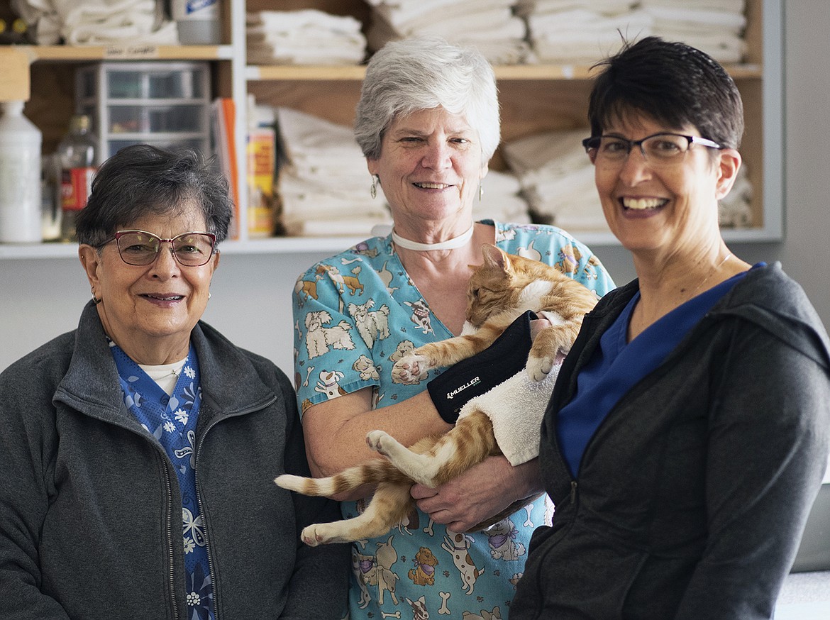 Volunteers Pat Willaman, Robin Tucker and Kitty Leu in the recovery room during a cat clinic at the Flathead Spay and Neuter Task Force. (Julie Engler/Whitefish Pilot)