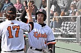 Tigers take split on the diamond