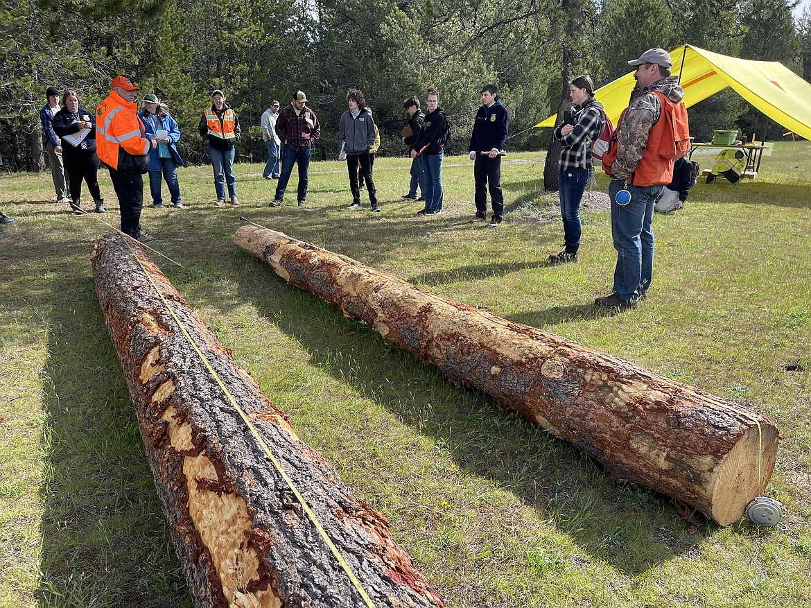 A few of the 187 youths are seen taking part in an event at the Idaho State Forestry Contest this year held at Farragut State Park.