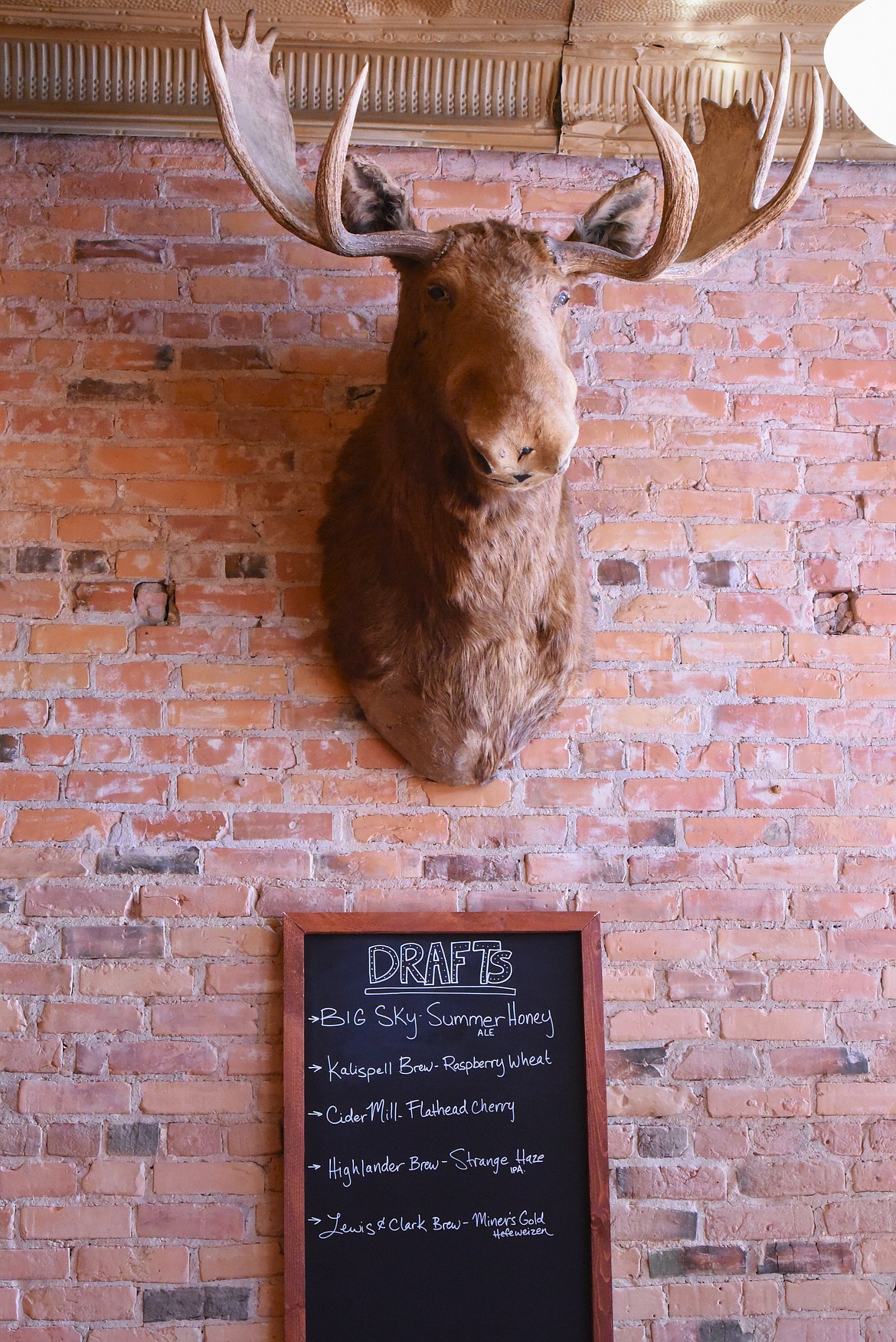 A mounted moose head hangs on the east wall. (Scot Heisel/Lake County Leader)