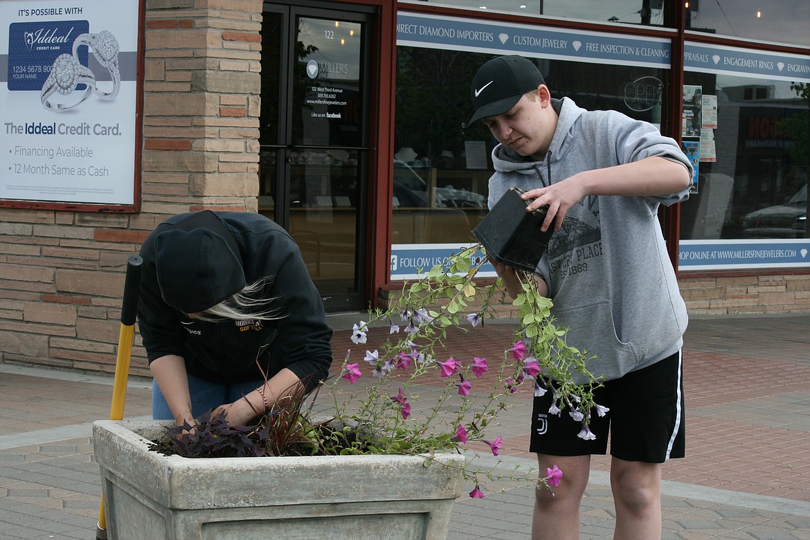 Jaedynn Dietmeyer (left) and James Doyer (right) prepare the planter and petunias Thursday morning in downtown Moses Lake.