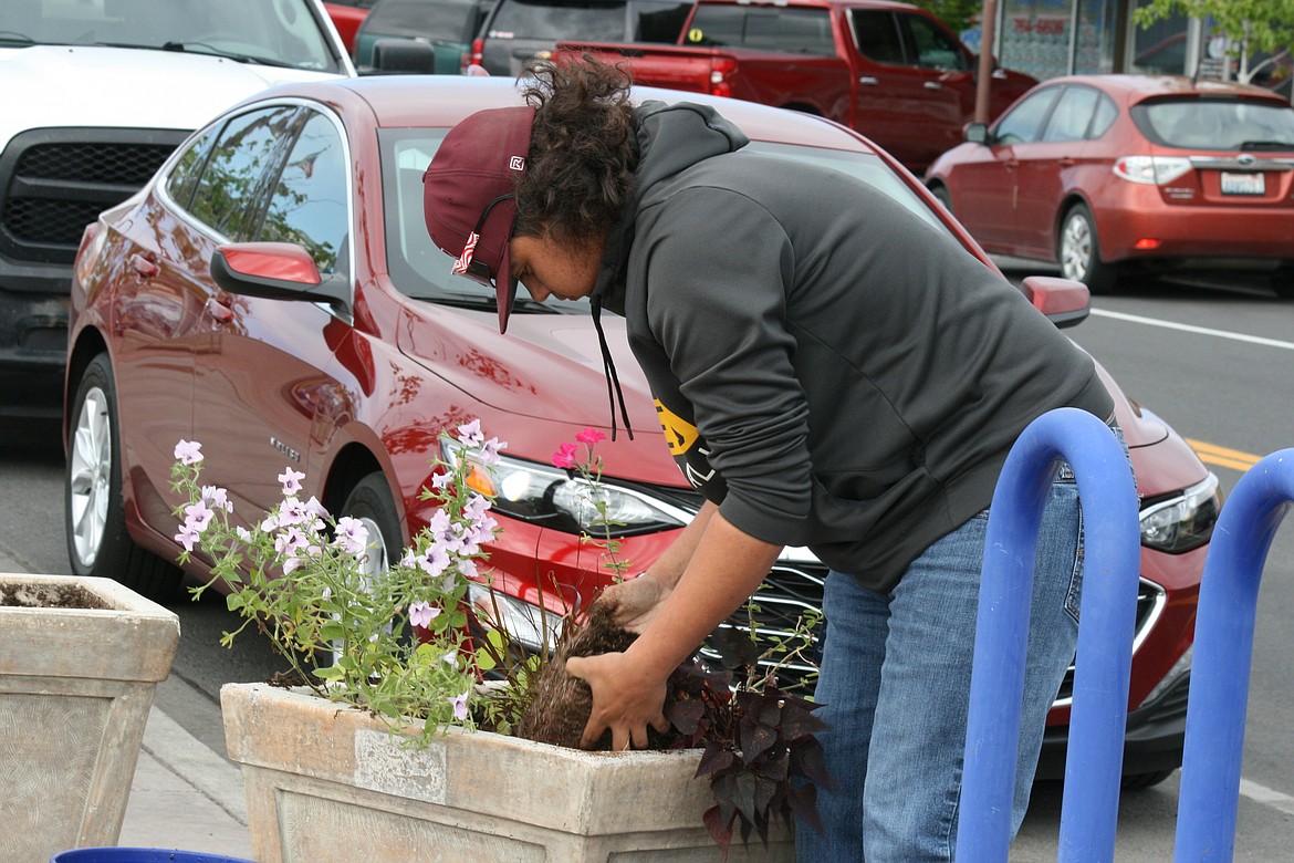 Austin Kern fills a planter in downtown Moses Lake Thursday. These planters are maintained throughout the summer by the Downtown Moses Lake Association as part of their efforts to draw visitors to the area.