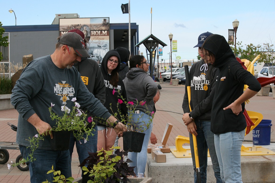 (From left) Moses Lake High School ag instructor Tony Kern gives planting instructions to Alexis McGuckin, Sydney Garza and Paytan Andrews while Moses Lake FFA and horticulture students were planting downtown flower boxes Thursday.