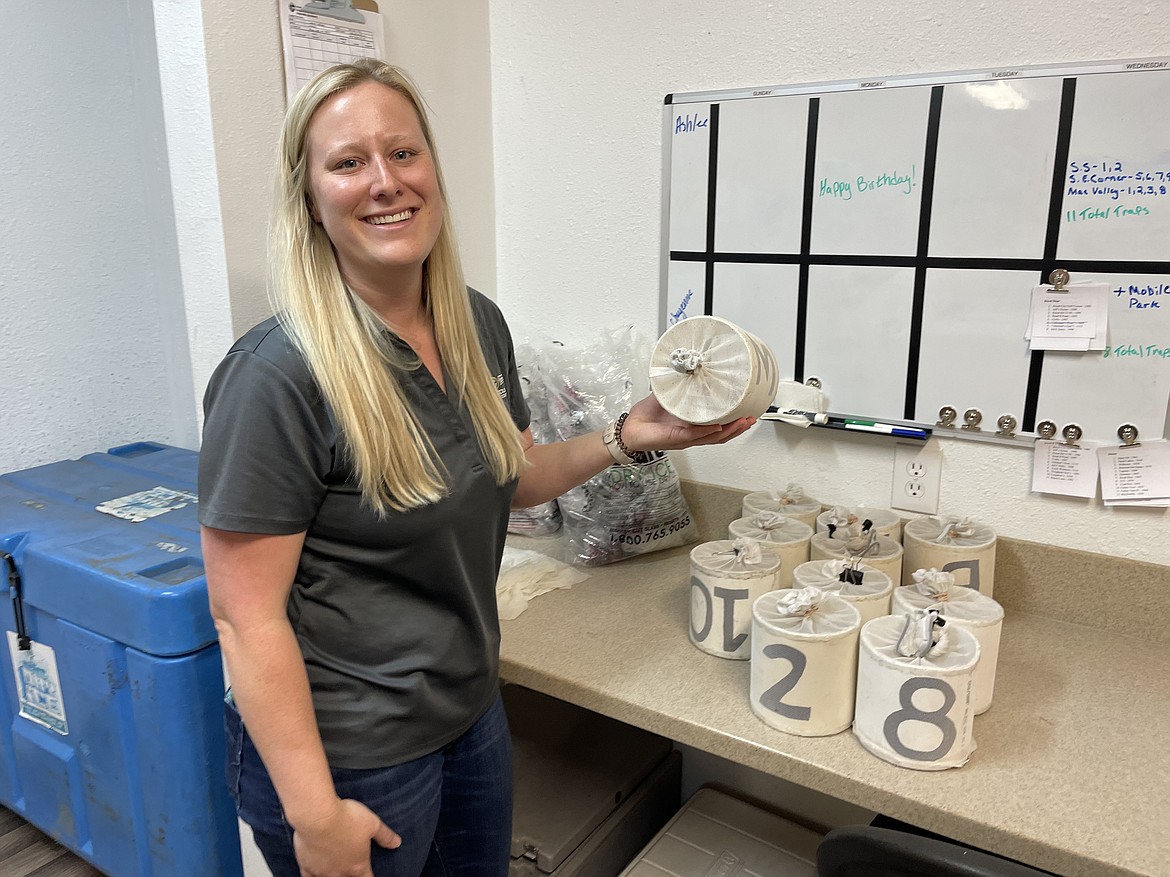 Carina LeFave, assistant manager of Grant County Mosquito Control District 1, holds up one of several mosquito traps in the lab at the district’s offices at the Moses Lake Municipal Airport. The district regularly sets out traps to find out what kinds of mosquitoes are flying around Grant County and what diseases they might carry.