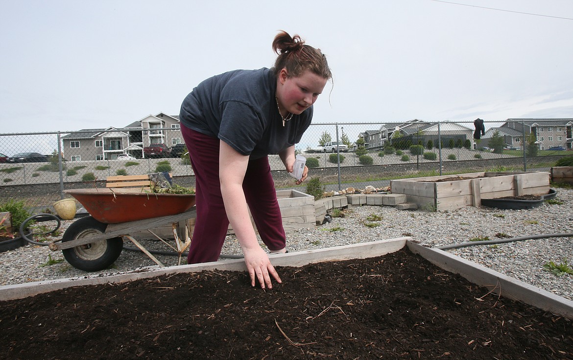 Avary Hunsaker, a junior at New Vision High School, pats the soil where she plants spaghetti squash seeds Friday in the Post Falls Community Garden. All produce grown in the garden is donated to the Post Falls Senior Center.