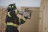 Top-down training