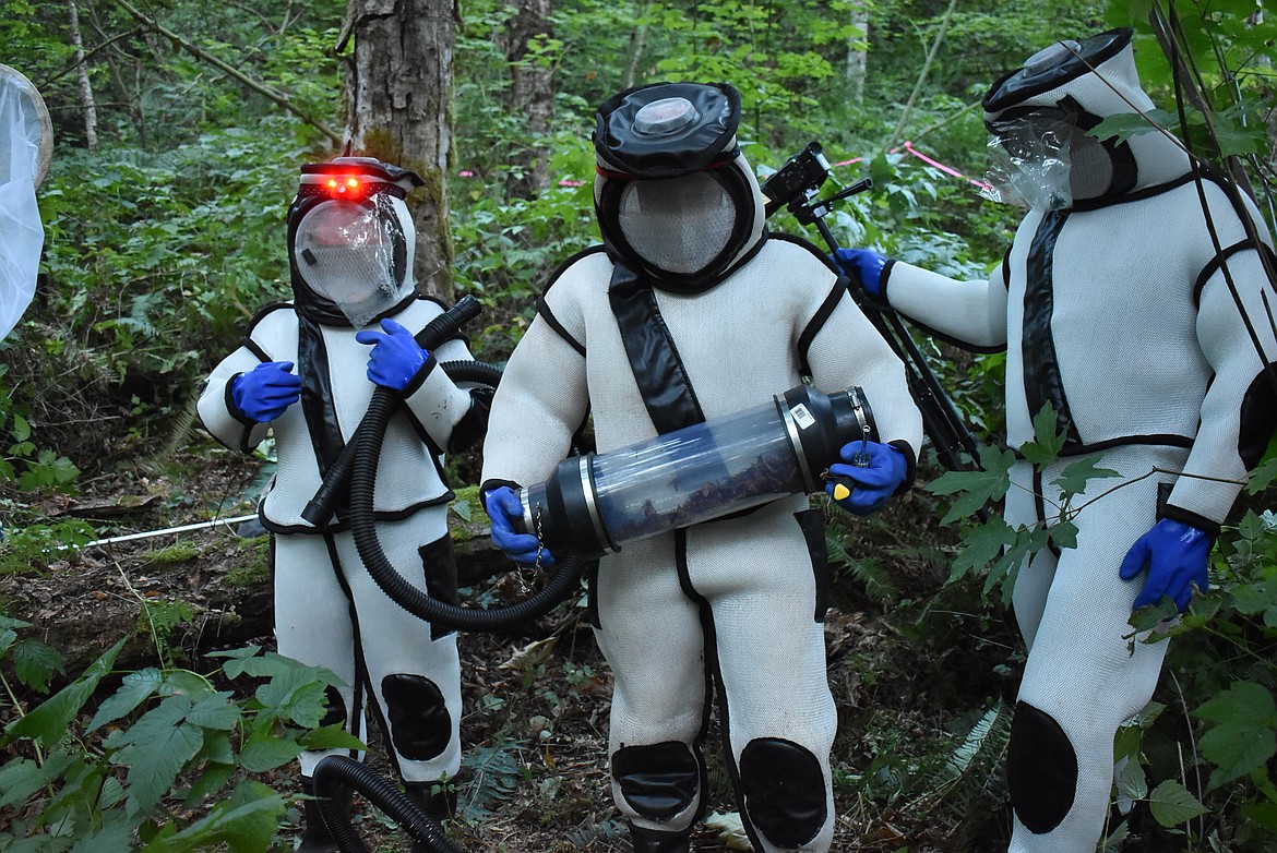 A team of researchers with the Washington State Department of Agriculture in protective suits hold a canister full of Asian giant hornets vacuumed out of their nest in 2021. Researchers stunned the hornets by flooding their nest with carbon dioxide gas, and wore the suits because of the hornets’ 1/4-inch stingers.