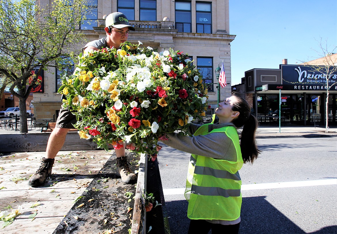 Haydn McKee hands a flower basket to Becca Holloway for set up on Sherman Avenue light posts on Thursday.