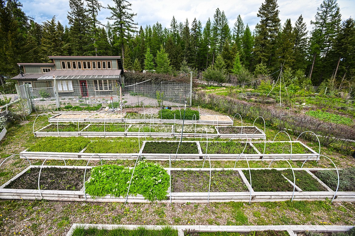 A view over a portion of the medicinal herb farm and a building that houses an office and massage treatment rooms at SpiritWorks Trilogy near Whitefish on Thursday, May 26. (Casey Kreider/Daily Inter Lake)