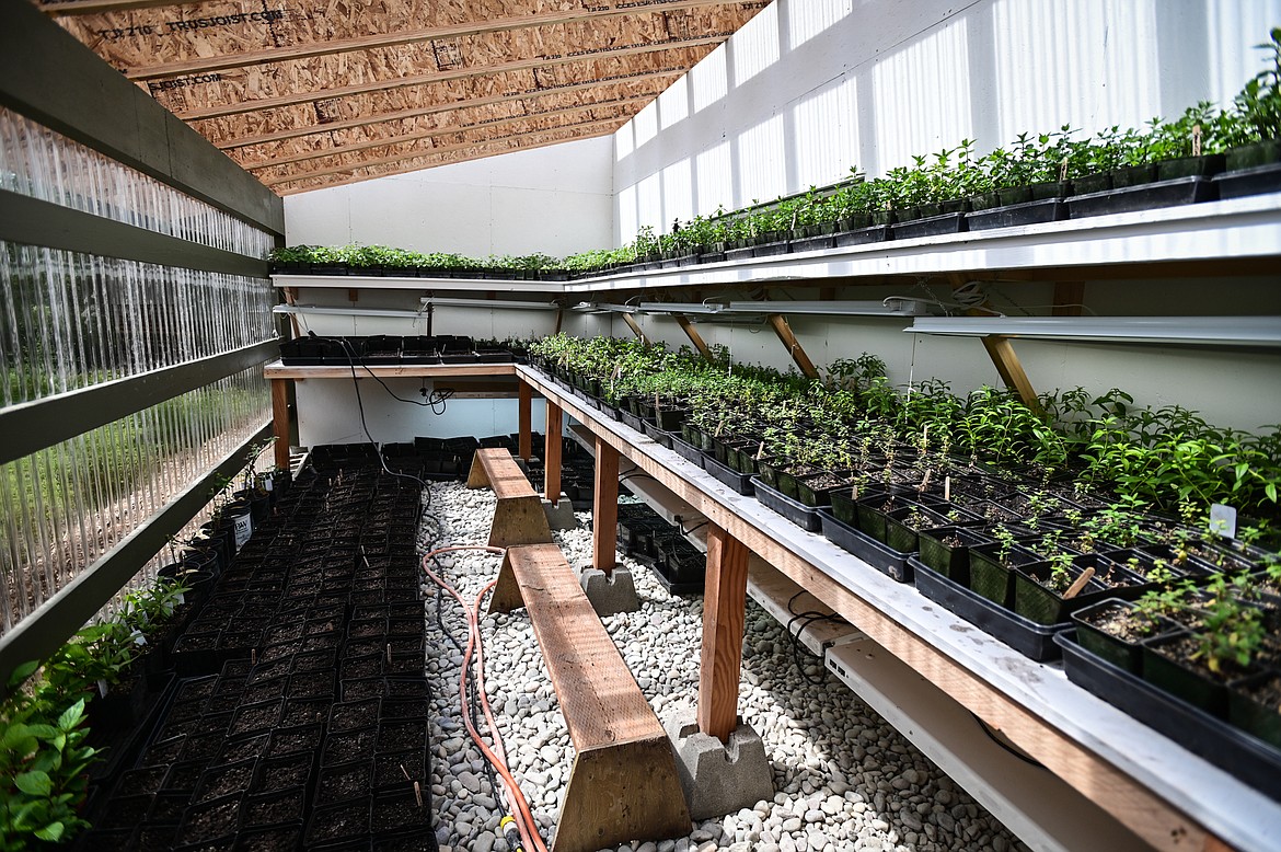 A newly-constructed greenhouse space at SpiritWorks Trilogy near Whitefish on Thursday, May 26. (Casey Kreider/Daily Inter Lake)