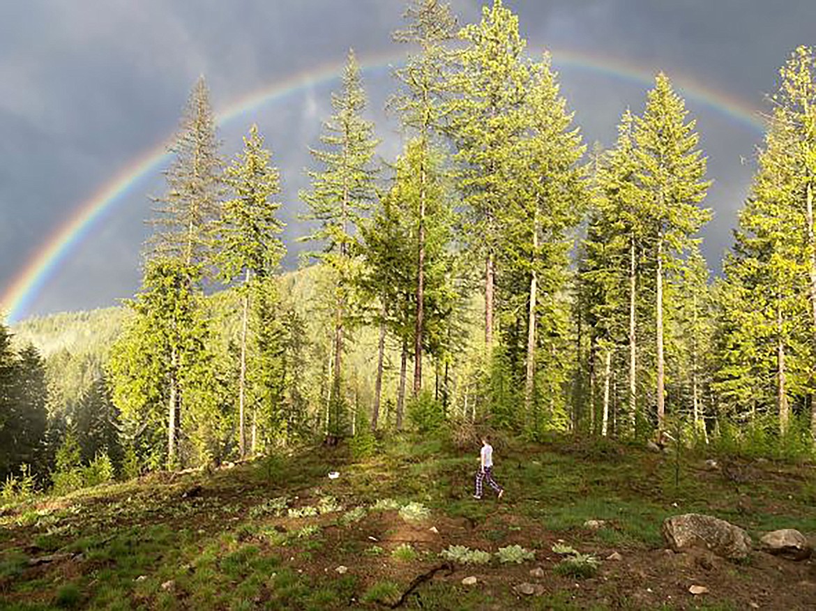 Scott Marshall shared this Best Shot taken of the rainbow that filled the skies on May 6. If you have a photo that you took that you would like to see run as a Best Shot or I Took The Bee send it in to the Bonner County Daily Bee, P.O. Box 159, Sandpoint, Idaho, 83864; or drop them off at 310 Church St., Sandpoint. You may also email your pictures in to the Bonner County Daily Bee along with your name, caption information, hometown and phone number to bcdailybee@bonnercountydailybee.com.