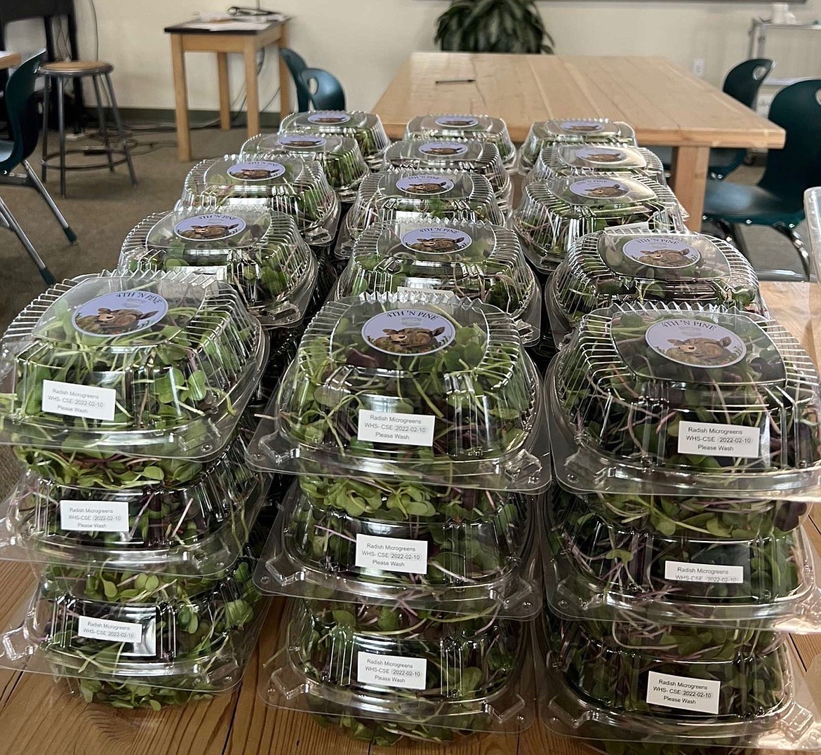 Packaged microgreens ready to sell by the Whitefish High School regenerative agriculture program. (Courtesy photo)
