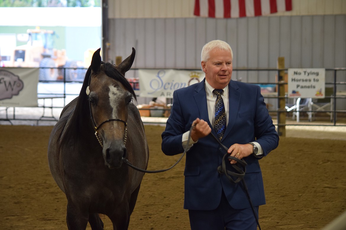 Dennis Wigren, a horse trainer with R.O. Lervick Arabians in Stanwood, with his horse at the end of the supreme halter competition during the Inland Empire Arabian Horse Club’s annual show in Moses Lake at the Grant County Fairgrounds on Saturday.