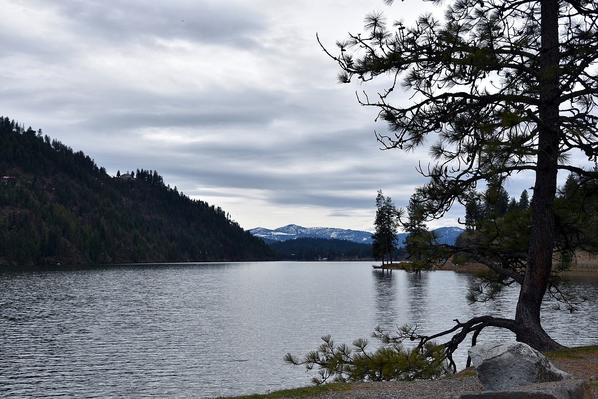 Fernan Lake was recently stocked with 6,000 rainbow trout. A popular fishing spot 10 minutes from downtown Coeur d'Alene, anglers of all abilities can enjoy fishing from floating docks, shoreline or boats.