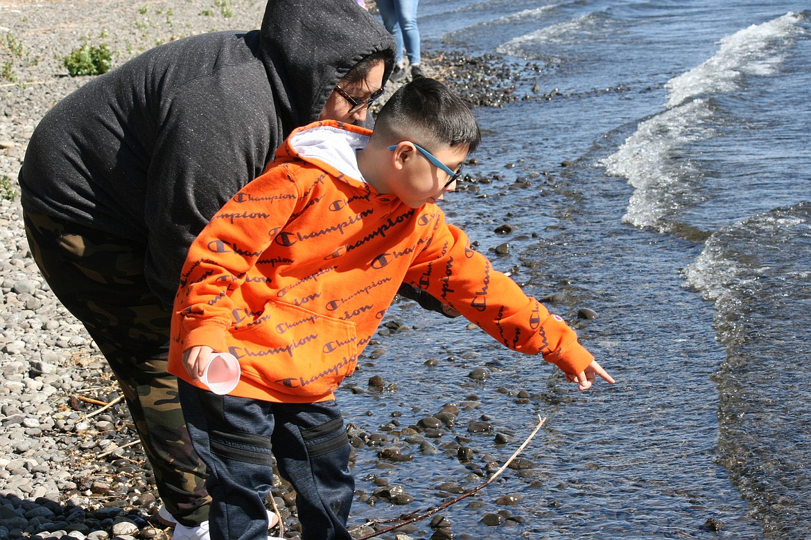 Wahluke student Angel DeGante (foreground) points out the salmon he just released into the Columbia River during the salmon release party. Elementary students helped feed the fish and watched them grow throughout the winter.