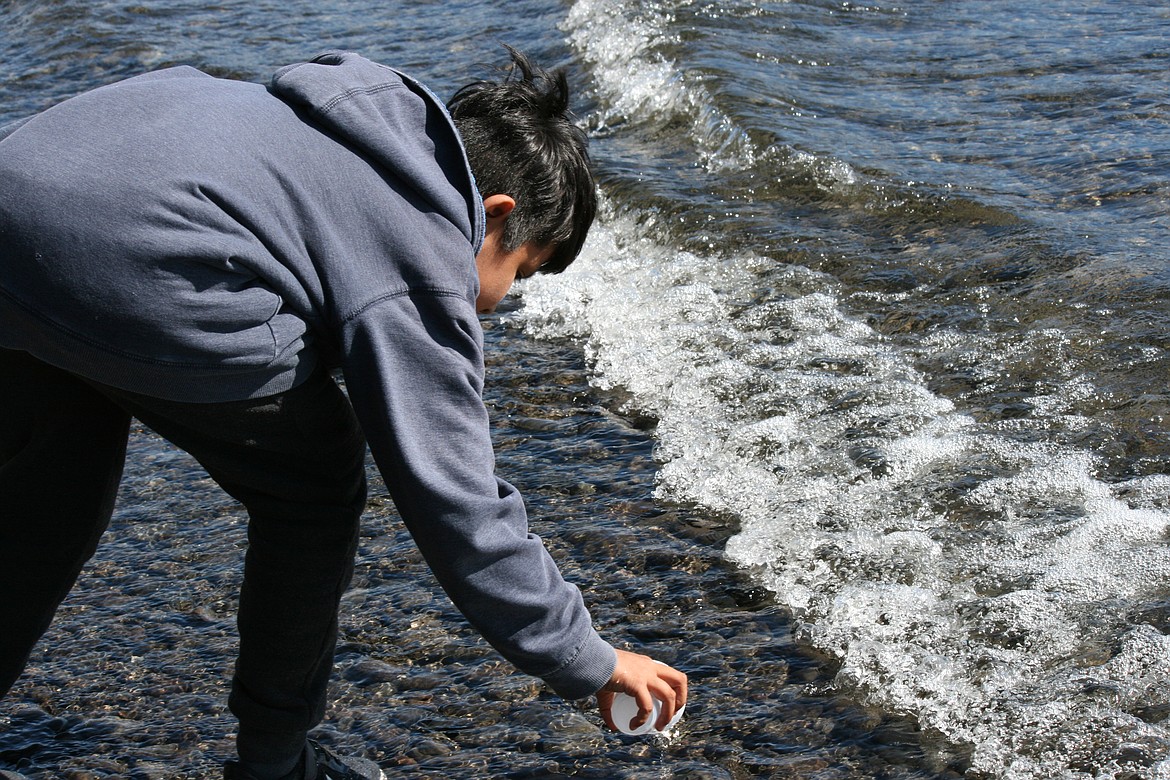 A Wahluke elementary student empties his cup, and the salmon swimming in it, into the Columbia River.