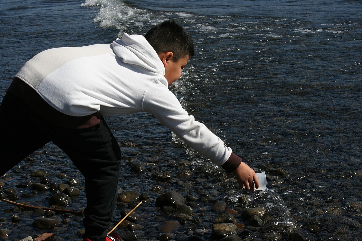 A Wahluke elementary student wades out a step or two before releasing his salmon into the Columbia River.