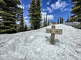 In Jewel Basin, snow as far as the eye can see