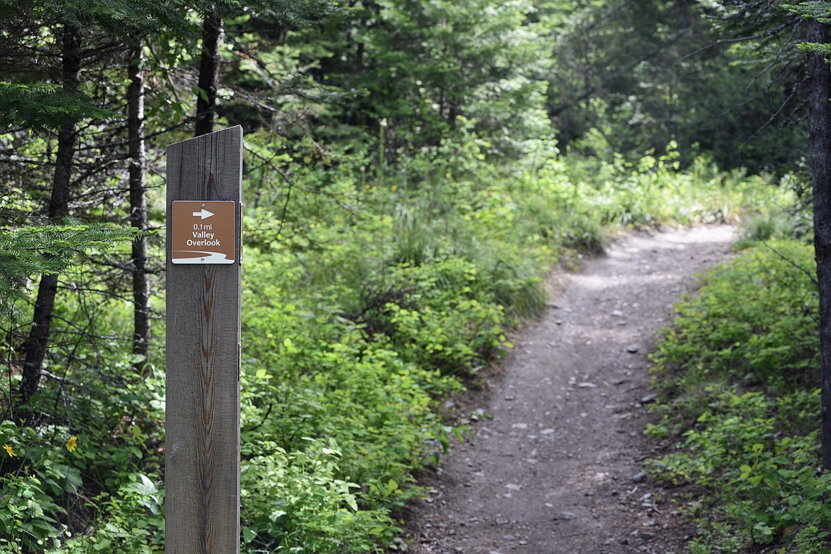 The turn for the overlook on the Haskill Trail. (Julie Engler/Whitefish Pilot)