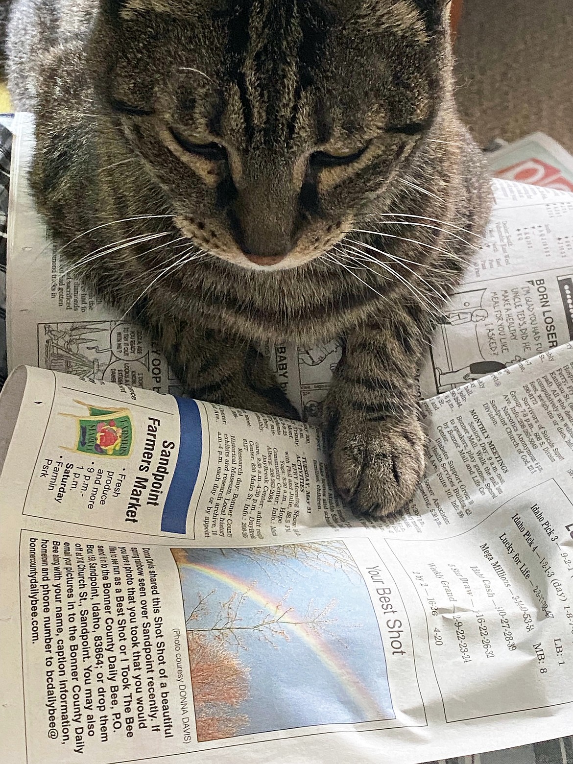 Baby checks to see if he's the subject of the Best Shot in this photo taken by Mary Jo Godec. If you have a photo that you took that you would like to see run as a Best Shot or I Took The Bee send it in to the Bonner County Daily Bee, P.O. Box 159, Sandpoint, Idaho, 83864; or drop them off at 310 Church St., Sandpoint. You may also email your pictures in to the Bonner County Daily Bee along with your name, caption information, hometown and phone number to news@bonnercountydailybee.com.