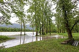 Yellowstone National Park closes due to floods; Glacier Park doing OK so far