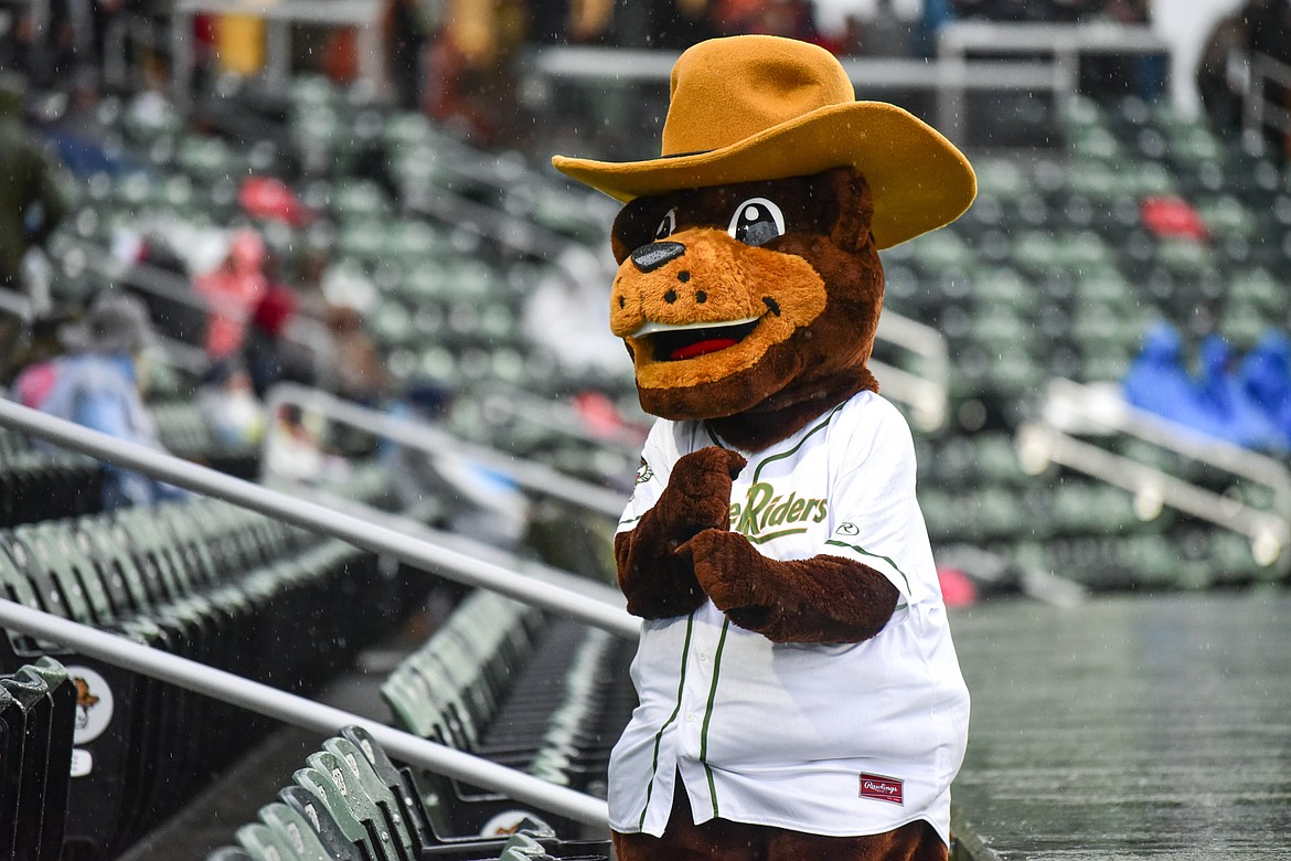 Huck, one of two Glacier Range Riders mascots, dances for fans during the team's home opener against the Billings Mustangs at Flathead Field on Tuesday, June 14. (Casey Kreider/Daily Inter Lake)